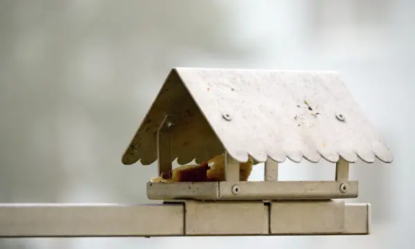 Botanischer Garten Chemnitz