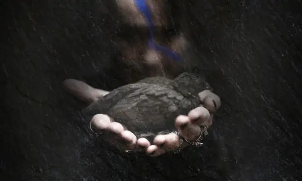 Wernesgrüner Brauerei Gutshof