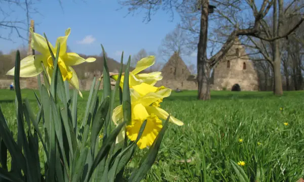 Klosterpark Altzella & Schloss Nossen