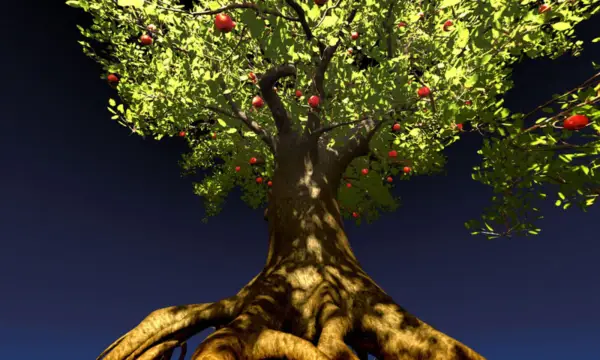 Minikosmos Lichtenstein