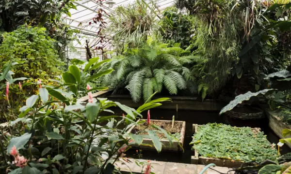 Botanischer Garten Chemnitz