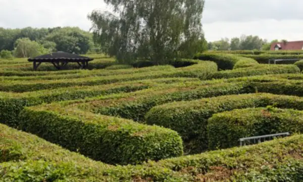 Irrgarten der Sinne