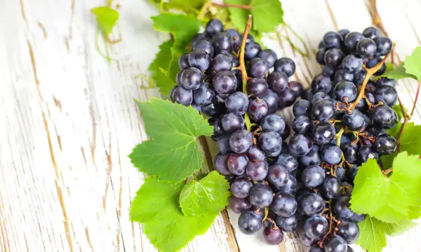 Markt 6 - Feines im Gewölbe