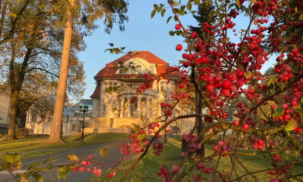 Baldauf Villa