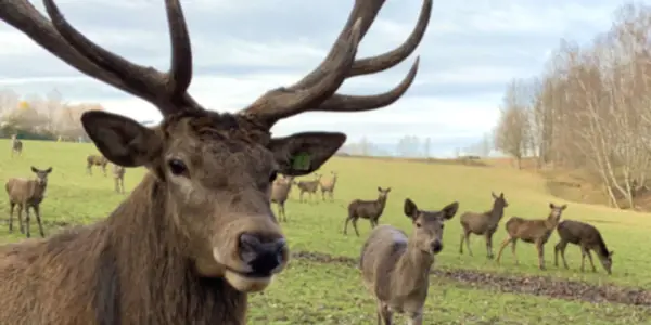Sonnenlandpark Lichtenau