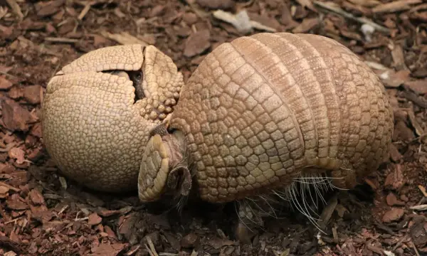 Tierpark Chemnitz