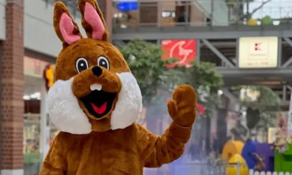 Sachsen-Allee Chemnitz