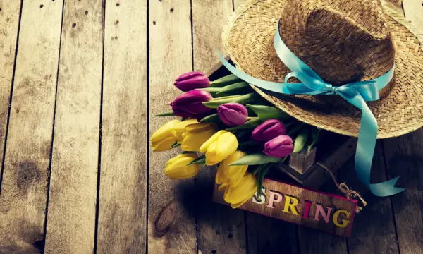 Haus der Generationen Brahmenau