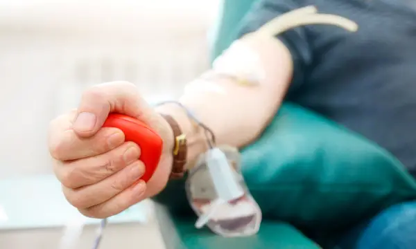 Oberschule Ehrenfriedersdorf