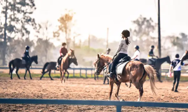 Reitsportanlage Am Gemeindewald