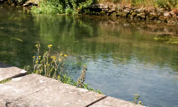 Auerswalder Mühlenkeller