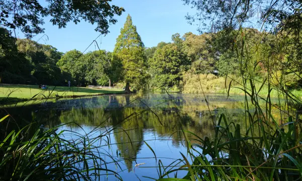 Amerika-Tierpark