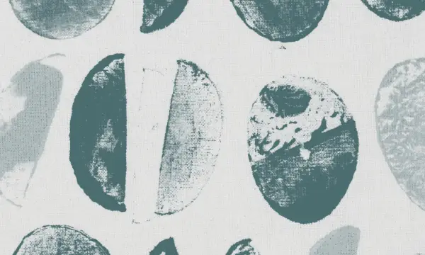 Ladenexperiment