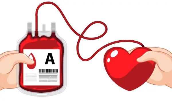 Haus des Gastes Seiffen