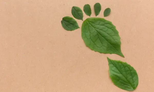 Begegnungsstätte Mittendrin