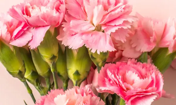 Der Flugplatz Jahnsdorf