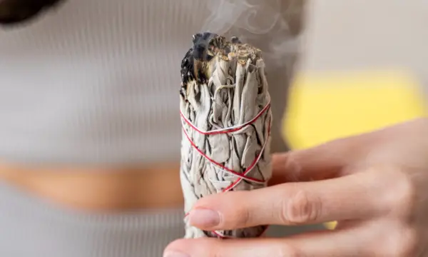 Botanischer Garten Chemnitz