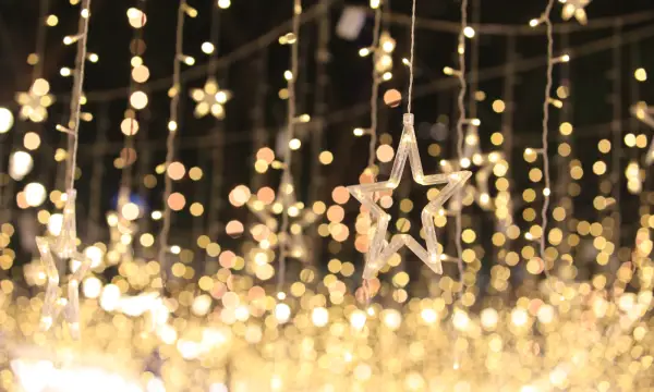 Gasthof zum Vogelsiedler