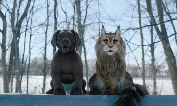 Filmpalast Astoria Zwickau