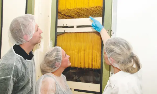 Teigwaren Riesa - Nudelcenter 