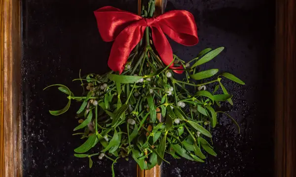 Kunstsammlungen Zwickau - Interimsquartier "ZwischenRAUM"