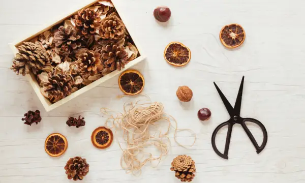 Kulturnetzwerk UW Etzdorf