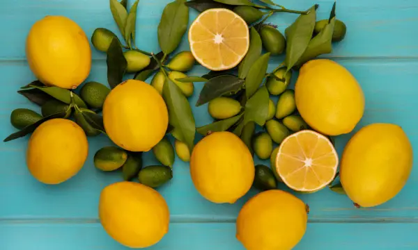 Volkshochschule Chemnitz im Tietz