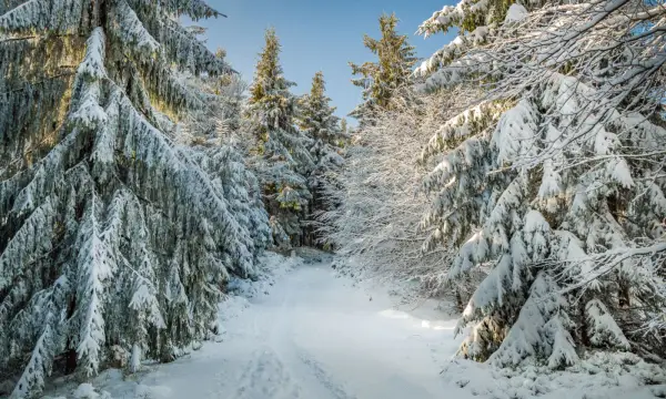 Die Weberei Museum Oederan