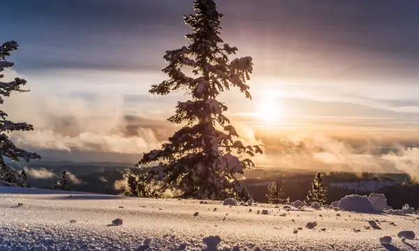 Ortspyramide Scharfenstein