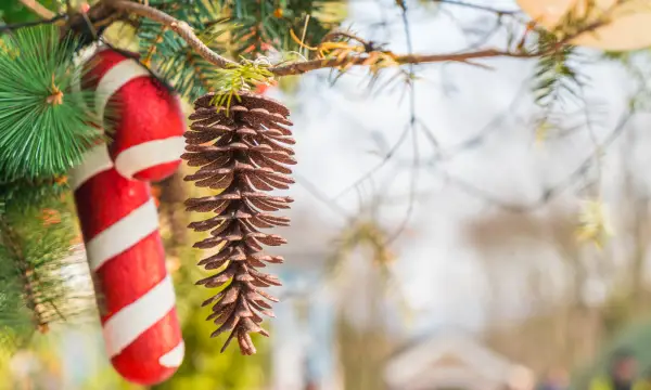 Wohnmühle Schmidt-Rottluff