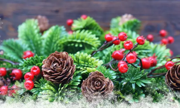 Neuapostolische Kirche Aue