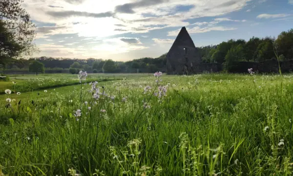 Klosterpark Altzella