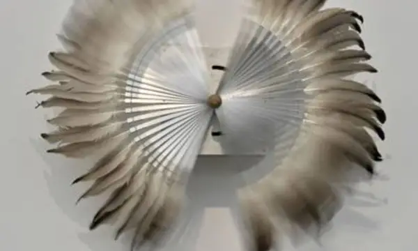 Galerie art gluchowe