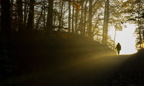 Parkplatz Wildenauer Weg