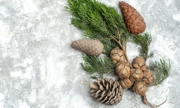 Hauptmarkt Stollberg