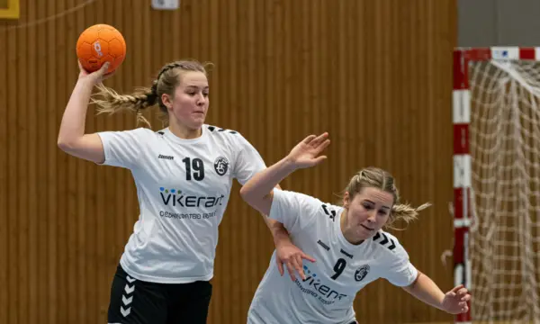 Sparkassen-Arena Zwickau