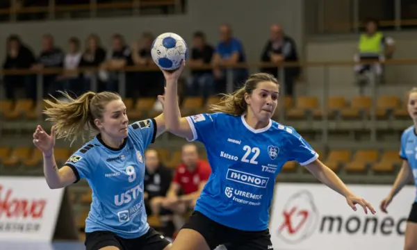 Sparkassen-Arena Zwickau