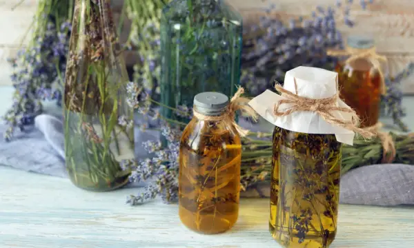 Volkshochschule Chemnitz im Tietz