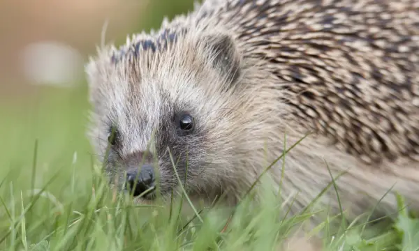 Naturschutzstation Chemnitz