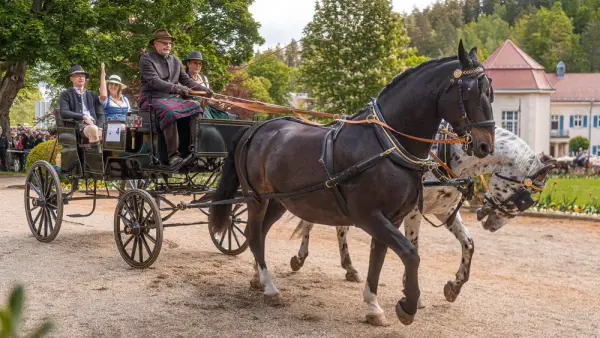 Königliches Kurhaus Bad Elster