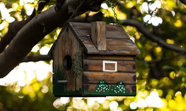 Botanischer Garten Chemnitz