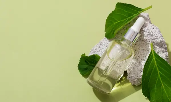 Botanischer Garten Chemnitz