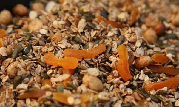 Botanischer Garten Chemnitz