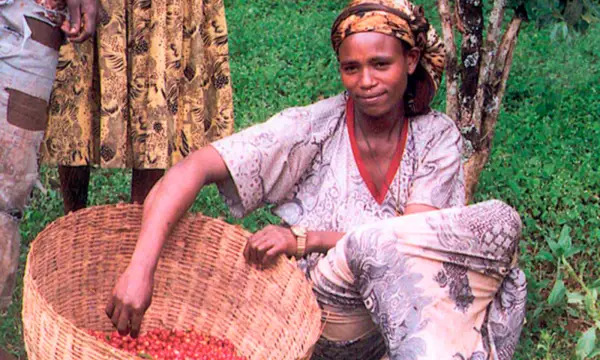 smac – Staatliches Museum für Archäologie Chemnitz