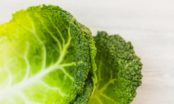 Theo's Bar & Restaurant