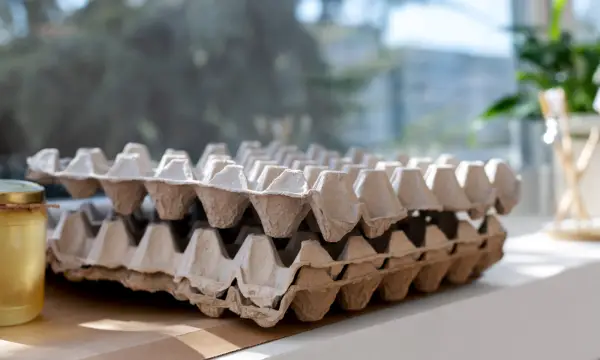 Lößnitz Makers - #diemacherei e.V.