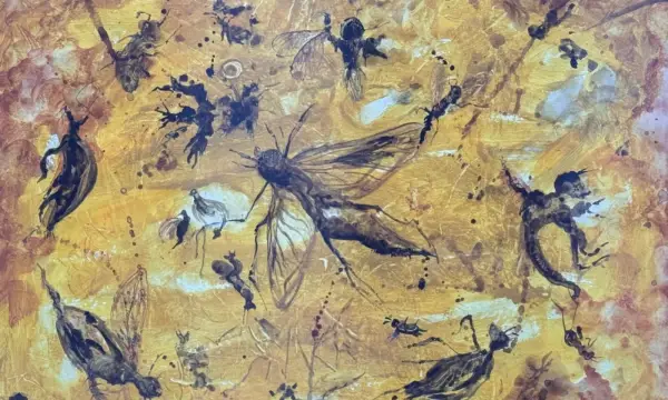 Botanischer Garten Chemnitz