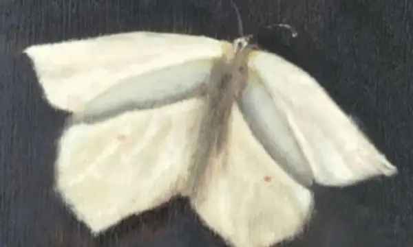 Historische Schauweberei Braunsdorf