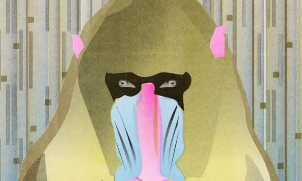 Neue Sächsische Galerie -  Museum für zeitgenössische Kunst