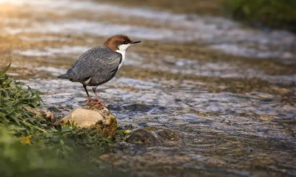 Umweltzentrum Chemnitz